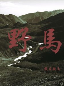 野馬