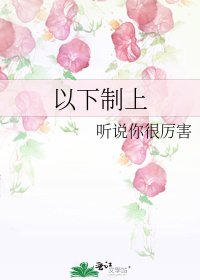 以下制上